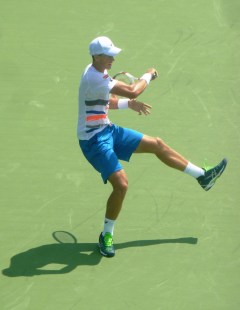 Pospisil 2