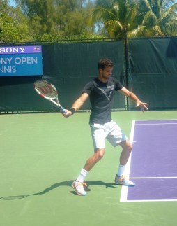 Dimitrov 1