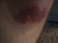 IMG_20200224_162656(13)